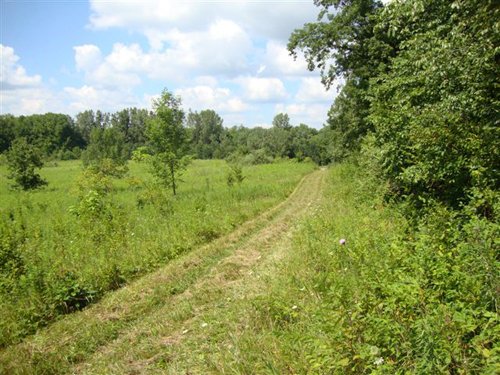 Property photo 6 - AUCTION CANCELLED TONIGHT!! SOLD Prior to Auction! 84+/- Acres Offered in 4 Tracts